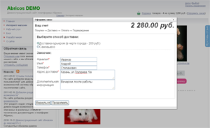 Оформление покупки (Контактная информация, оплата, доставка) в интернет-магазине